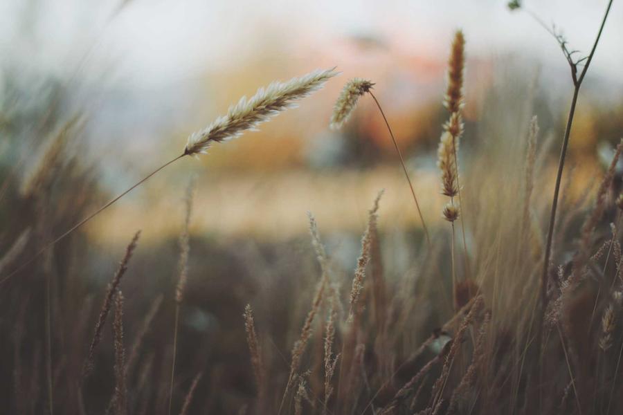 عرض عمرة رمضان المبكر — القبلة
